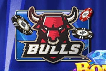 BULLS BULLS